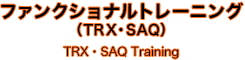 ファンクショナルトレーニング（TRX・SAQ）TRX・SAQ Training